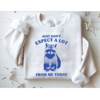 Just Dont Expect A Lot From Me Today Raccoon Funny Sweatshirt
