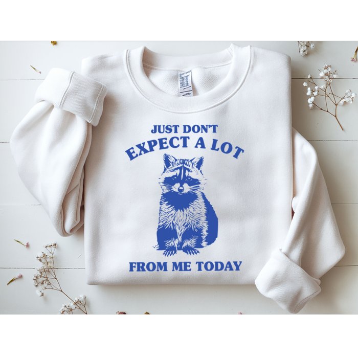 Just Dont Expect A Lot From Me Today Raccoon Funny Sweatshirt