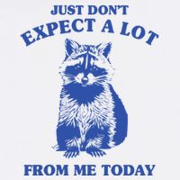 Just Dont Expect A Lot From Me Today Raccoon Funny Button
