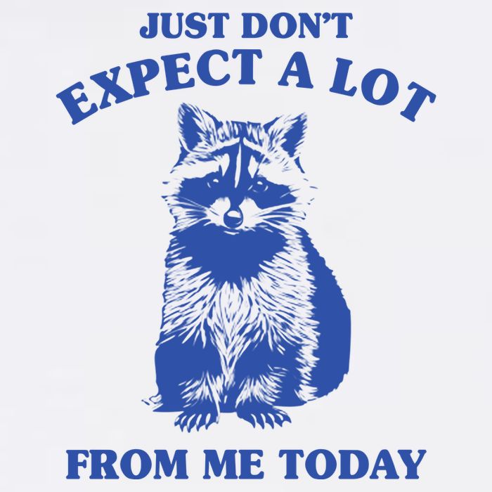 Just Dont Expect A Lot From Me Today Raccoon Funny Button