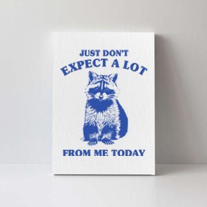 Just Dont Expect A Lot From Me Today Raccoon Funny Canvas