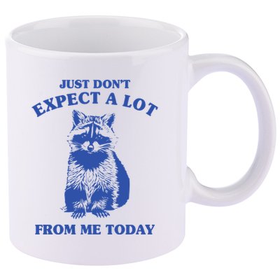 Just Dont Expect A Lot From Me Today Raccoon Funny 11oz C Handle Ceramic Mug