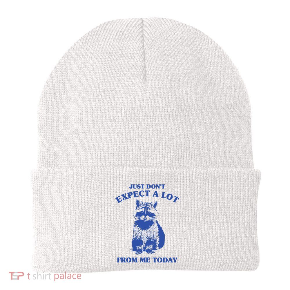 Just Dont Expect A Lot From Me Today Raccoon Funny Knit Cap Winter Beanie