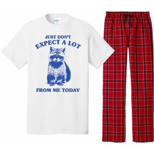 Just Dont Expect A Lot From Me Today Raccoon Funny Pajama Set