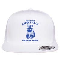 Just Dont Expect A Lot From Me Today Raccoon Funny Flat Bill Trucker Hat