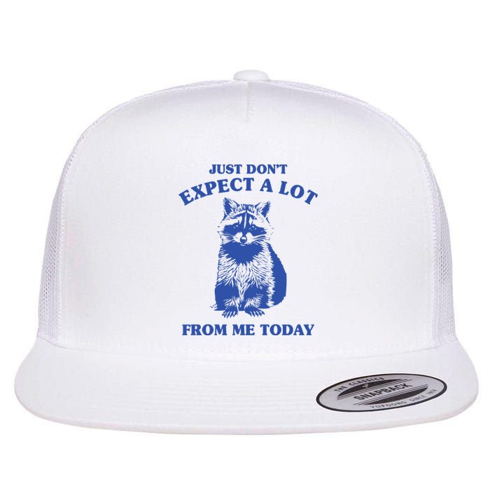 Just Dont Expect A Lot From Me Today Raccoon Funny Flat Bill Trucker Hat