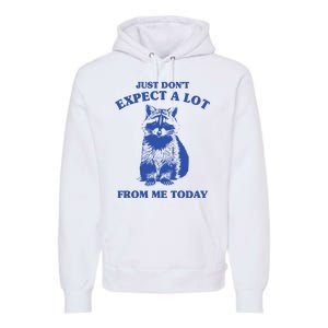 Just Dont Expect A Lot From Me Today Raccoon Funny Premium Hoodie