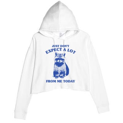 Just Dont Expect A Lot From Me Today Raccoon Funny Crop Fleece Hoodie