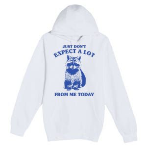 Just Dont Expect A Lot From Me Today Raccoon Funny Premium Pullover Hoodie