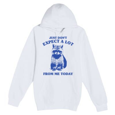 Just Dont Expect A Lot From Me Today Raccoon Funny Premium Pullover Hoodie
