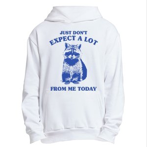 Just Dont Expect A Lot From Me Today Raccoon Funny Urban Pullover Hoodie