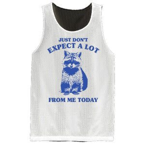 Just Dont Expect A Lot From Me Today Raccoon Funny Mesh Reversible Basketball Jersey Tank