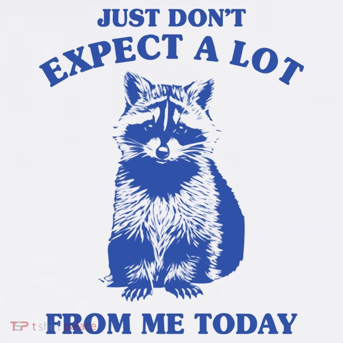 Just Dont Expect A Lot From Me Today Raccoon Funny Cooling Performance Long Sleeve Crew