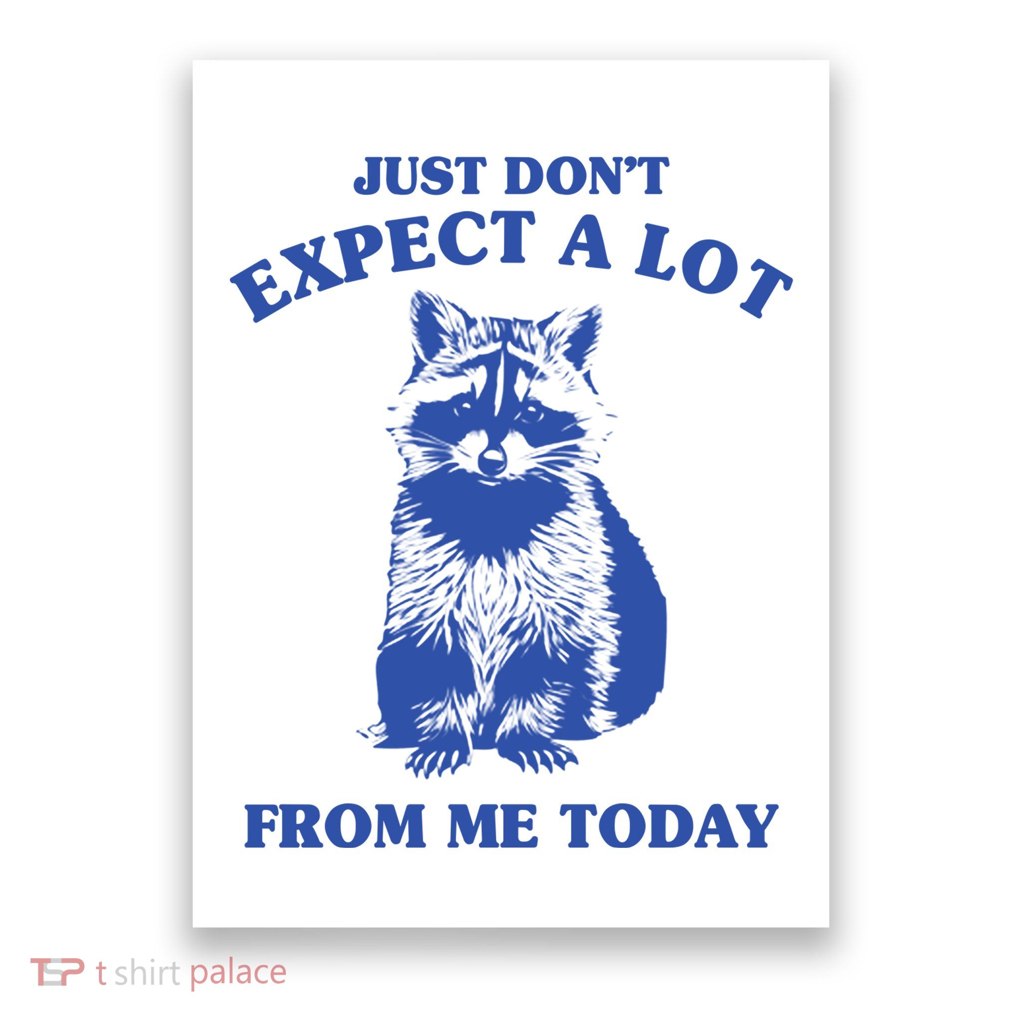 Just Dont Expect A Lot From Me Today Raccoon Funny Poster
