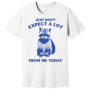 Just Dont Expect A Lot From Me Today Raccoon Funny Premium T-Shirt