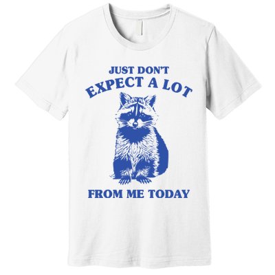 Just Dont Expect A Lot From Me Today Raccoon Funny Premium T-Shirt