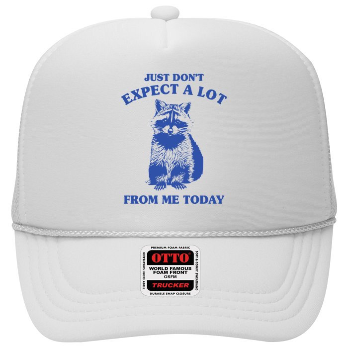 Just Dont Expect A Lot From Me Today Raccoon Funny Hat