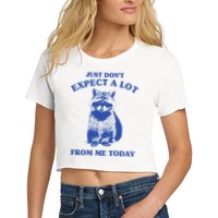 Just Dont Expect A Lot From Me Today Raccoon Funny Crop Top