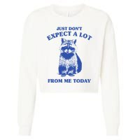 Just Dont Expect A Lot From Me Today Raccoon Funny Cropped Pullover Crew