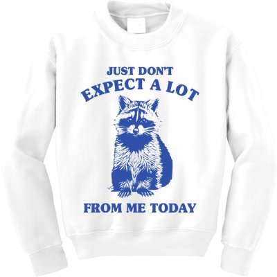 Just Dont Expect A Lot From Me Today Raccoon Funny Kids Sweatshirt