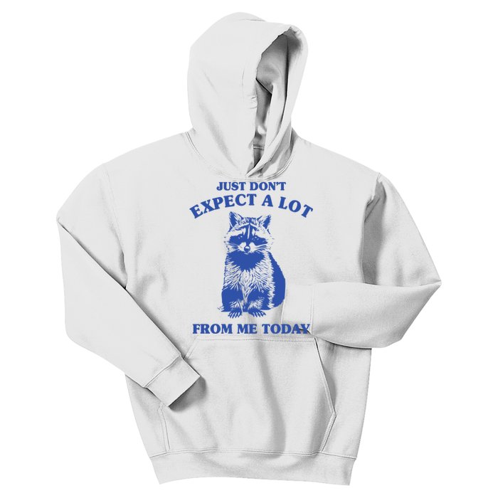 Just Dont Expect A Lot From Me Today Raccoon Funny Kids Hoodie