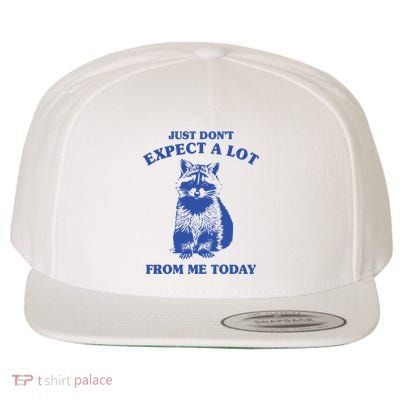 Just Dont Expect A Lot From Me Today Raccoon Funny Wool Snapback Cap