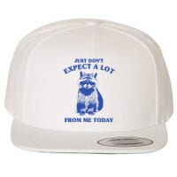 Just Dont Expect A Lot From Me Today Raccoon Funny Wool Snapback Cap