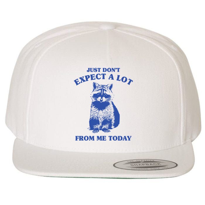Just Dont Expect A Lot From Me Today Raccoon Funny Wool Snapback Cap
