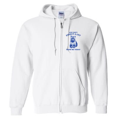 Just Dont Expect A Lot From Me Today Raccoon Funny Full Zip Hoodie