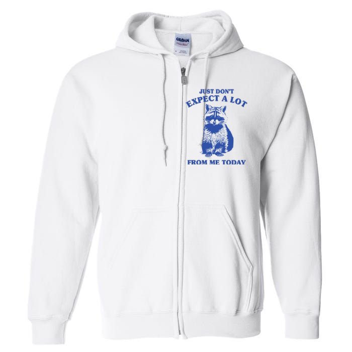 Just Dont Expect A Lot From Me Today Raccoon Funny Full Zip Hoodie