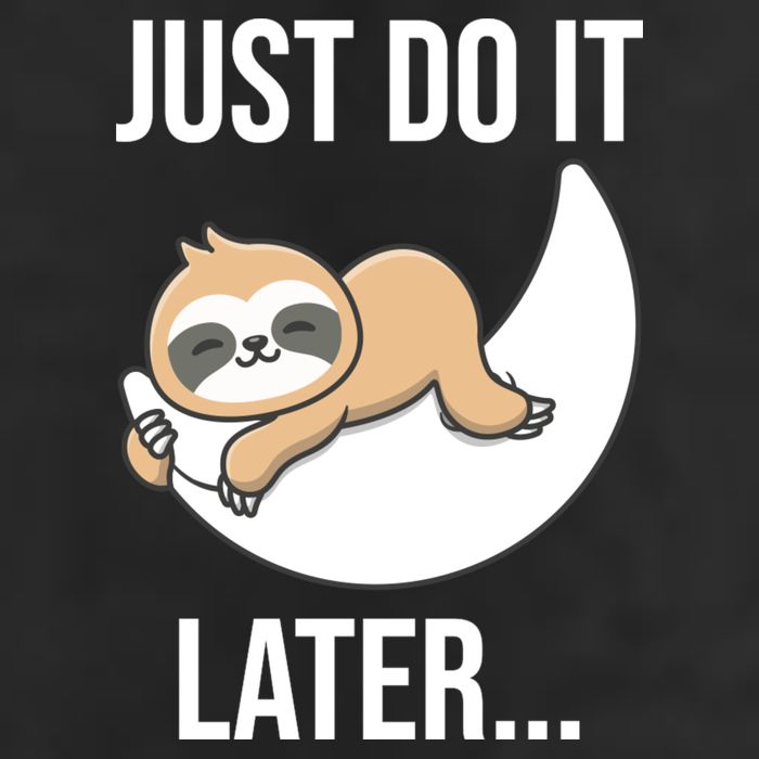 Just Do It Later Sloth 12oz Stainless Steel Coffee Mug