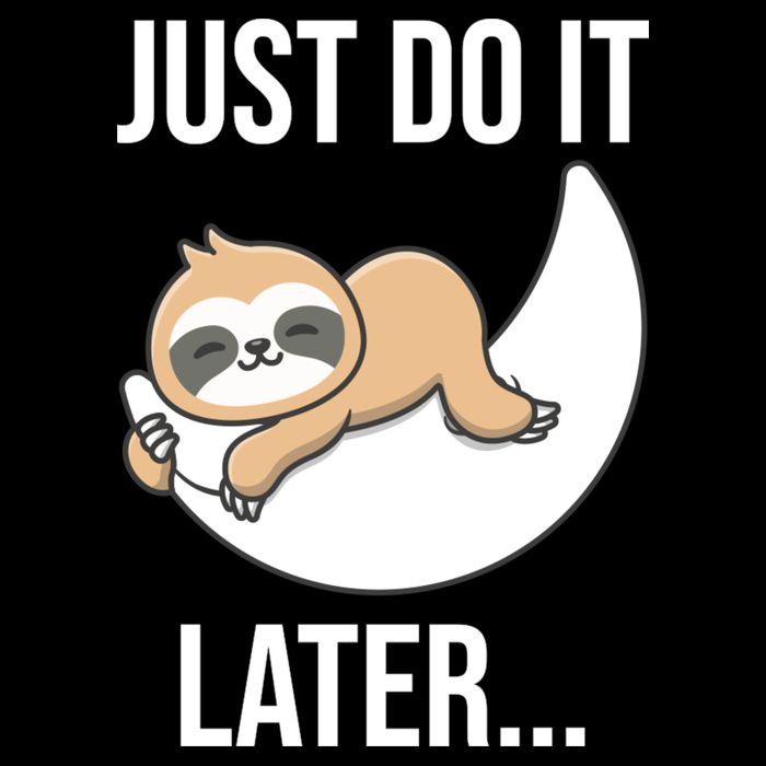Just Do It Later Sloth Wool Snapback Cap