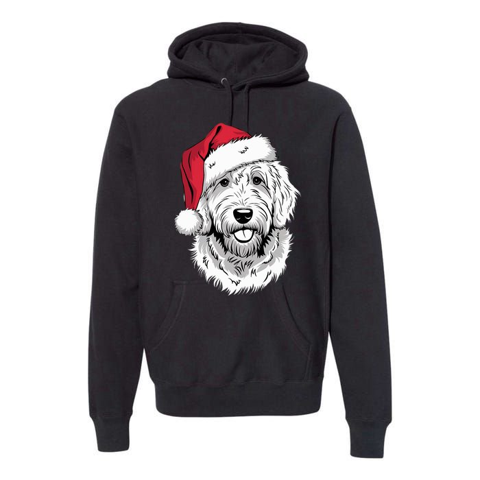 Joyful Doodle Santa Dog On Golden Doodle Christmas Premium Hoodie