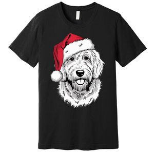 Joyful Doodle Santa Dog On Golden Doodle Christmas Premium T-Shirt