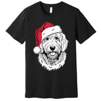 Joyful Doodle Santa Dog On Golden Doodle Christmas Premium T-Shirt