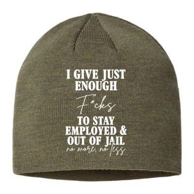 Just Enough Fucks To Stay Employed Out Of Jail Funny Sustainable Beanie
