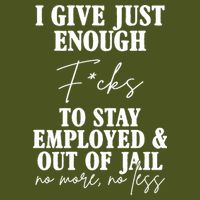 Just Enough Fucks To Stay Employed Out Of Jail Funny Premium T-Shirt