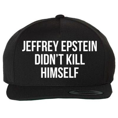 Jeffrey Epstein Didn't Kill Himself Wool Snapback Cap