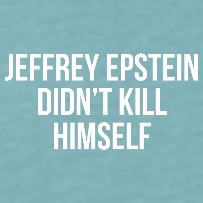 Jeffrey Epstein Didn't Kill Himself Sueded Cloud Jersey T-Shirt