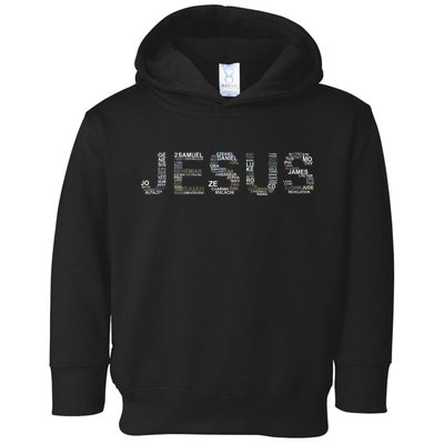 Jesus - Power is in the Name Word Mashup Toddler Hoodie