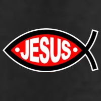 Jesus Christian Fish Symbol Adult Drive Performance Visor