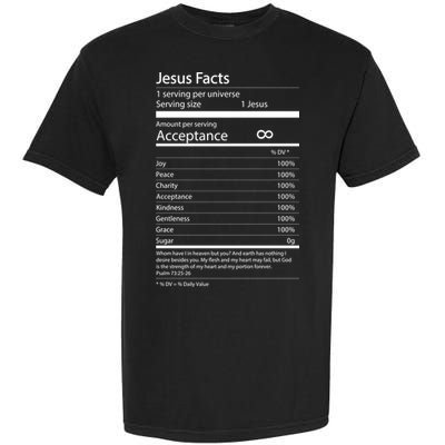 Jesus Facts Garment-Dyed Heavyweight T-Shirt