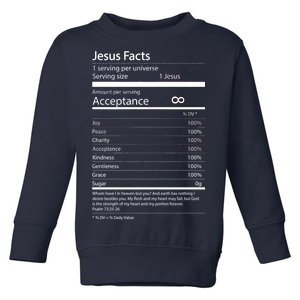 Jesus Facts Toddler Sweatshirt