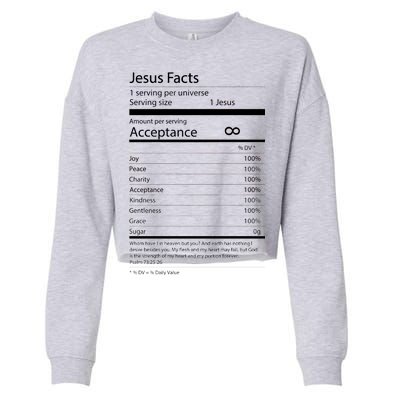 Jesus Facts Cropped Pullover Crew