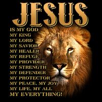 Jesus Is My God My King Lion Hoodie