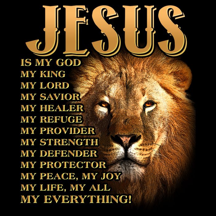 Jesus Is My God My King Lion Hoodie