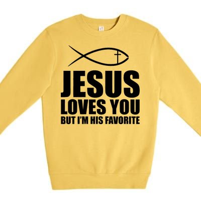 Jesus Loves You Funny Christain Premium Crewneck Sweatshirt