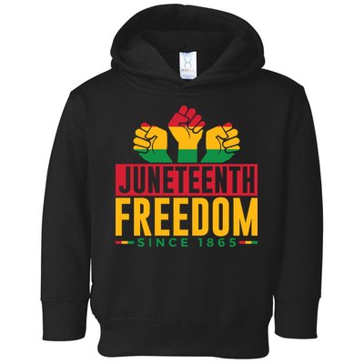 Juneteenth Freedom Art Toddler Hoodie