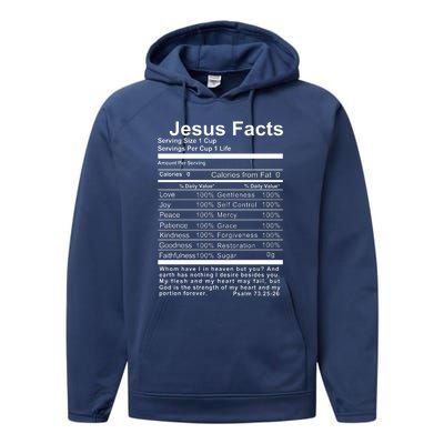 Jesus Facts Cool Christian Gift For Christians Performance Fleece Hoodie