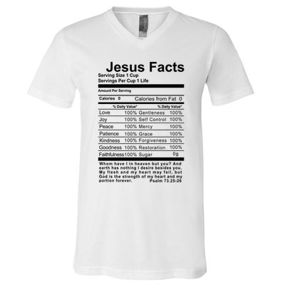 Jesus Facts Cool Christian Gift For Christians V-Neck T-Shirt